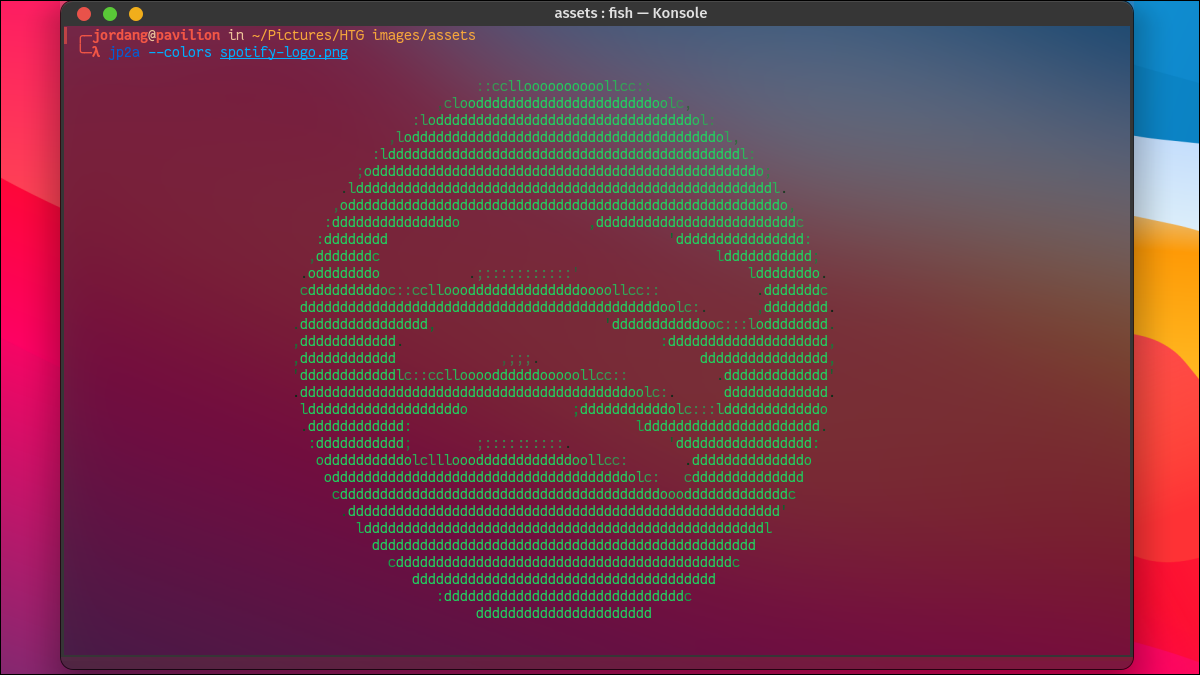 تم إنشاء شعار Spotify بأحرف ASCII في محطة Linux.