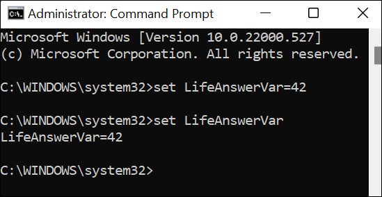 设置 lifevar=42 的命令提示符