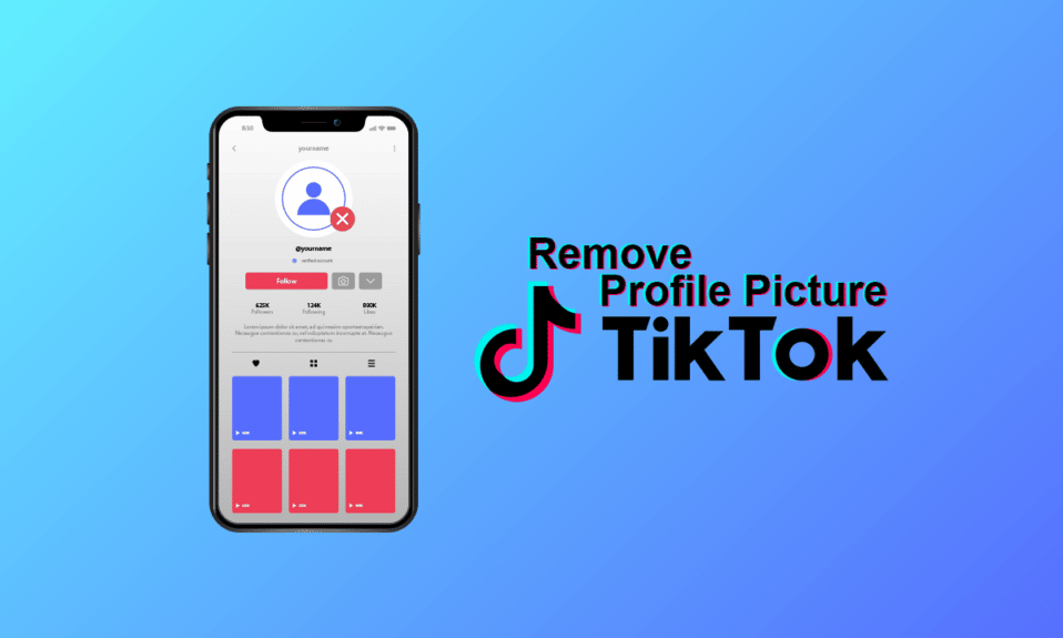 TikTok에서 프로필 사진을 제거하는 방법