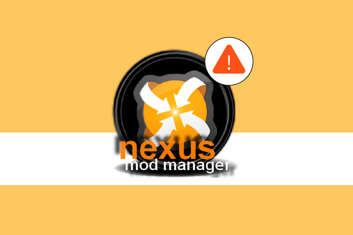 修复 Nexus Mod Manager 无法在 Windows 10 上打开