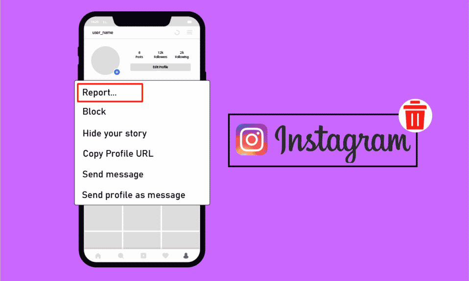 删除 Instagram 帐户需要多少报告