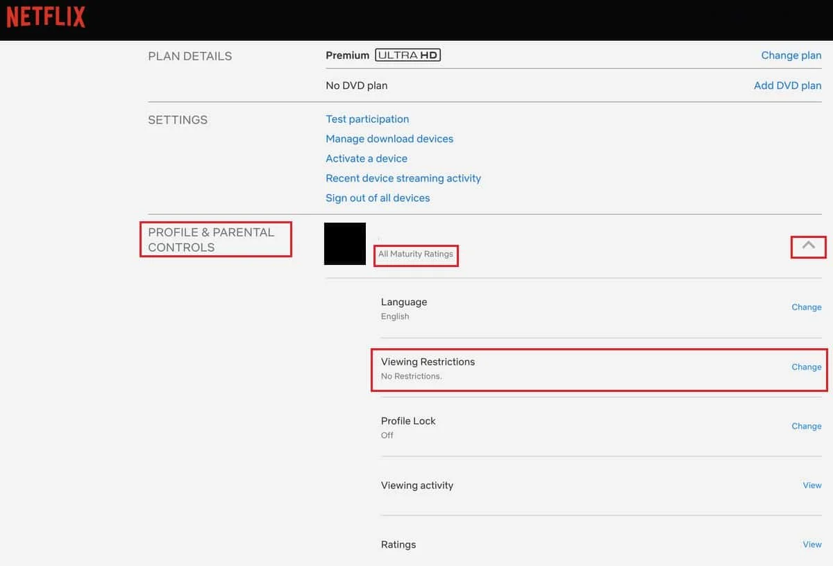 Netlix 帐户资料和家长控制查看限制