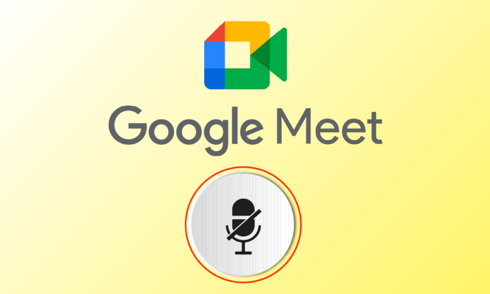 修复您的麦克风被 Google Meet 中的系统设置静音