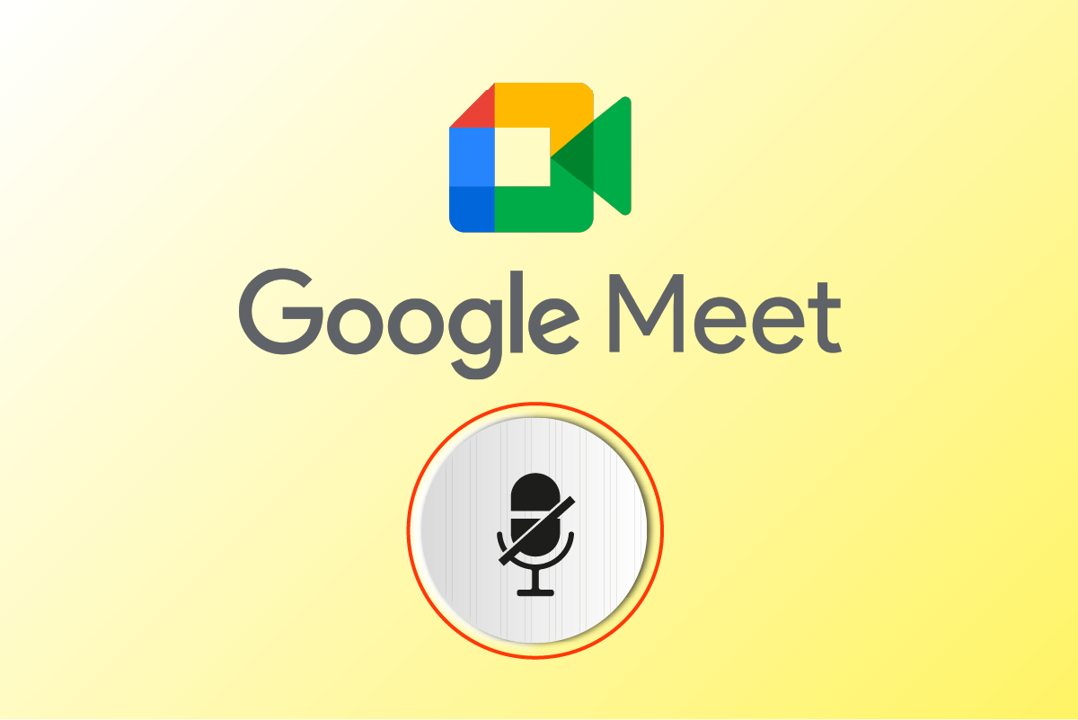 修复您的麦克风被 Google Meet 中的系统设置静音