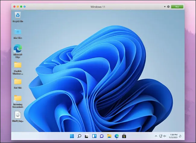 在 Mac 上的 Parallels 中看到的 Windows 11 桌面。