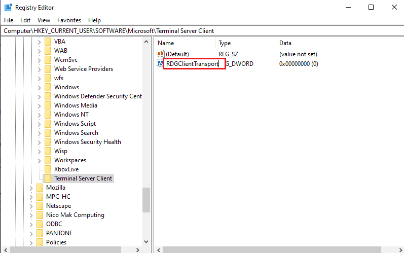 将 DWORD 重命名为 RDGClientTransport 并按 Enter 键