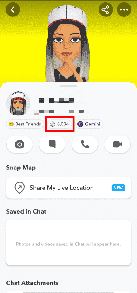 Verifique o Snap Score abaixo do nome do perfil