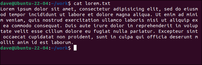 Il contenuto del file con una riga lunga