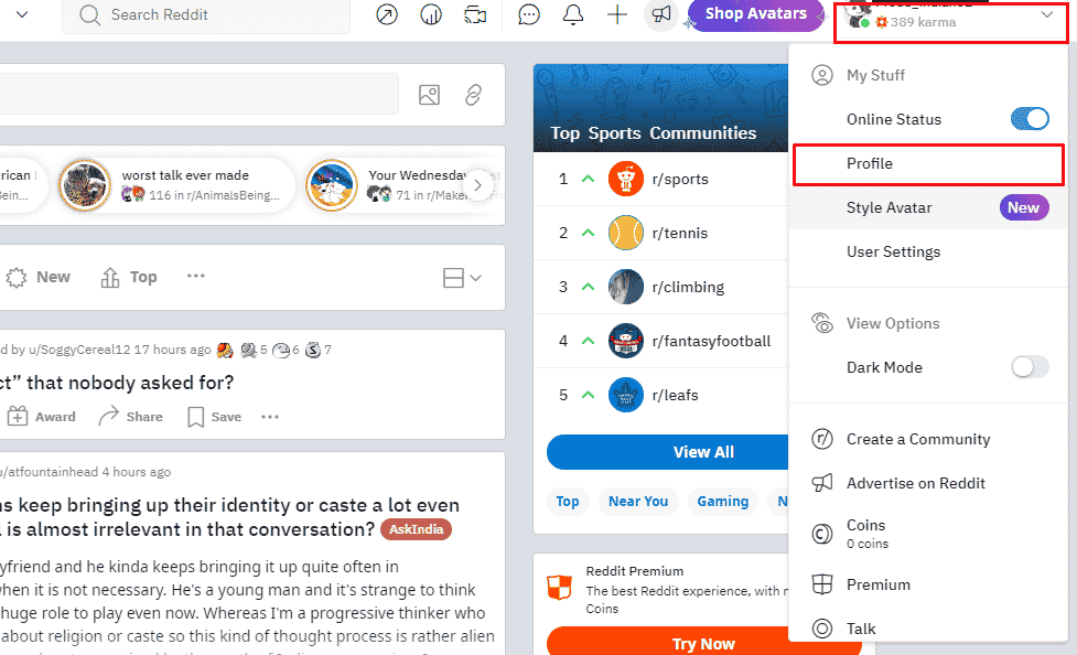 Icona del profilo - Profilo | Come eliminare l'account Reddit sull'app