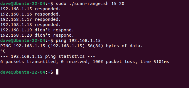 Esecuzione dello script ed esecuzione di ping