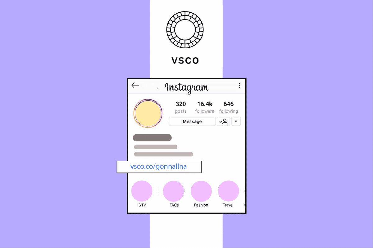 如何在您的 Instagram 簡歷中添加 VSCO 鏈接