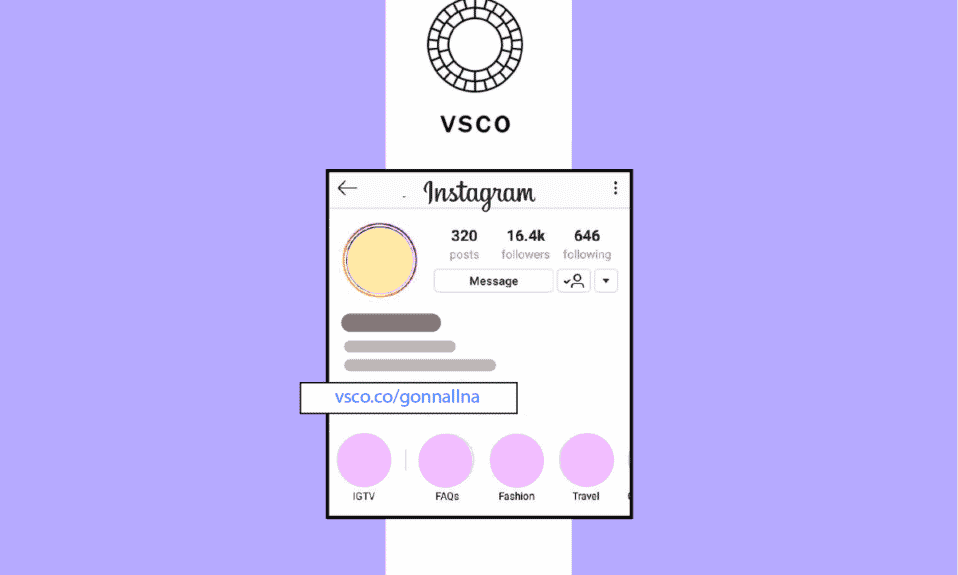 如何在您的 Instagram 簡歷中添加 VSCO 鏈接