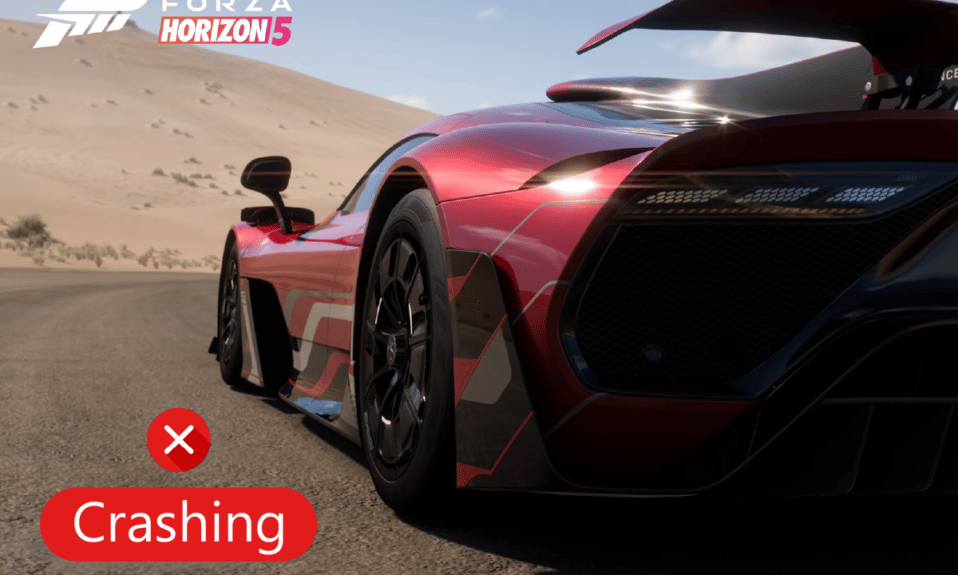 Windows 10에서 Forza Horizon 5 충돌 수정