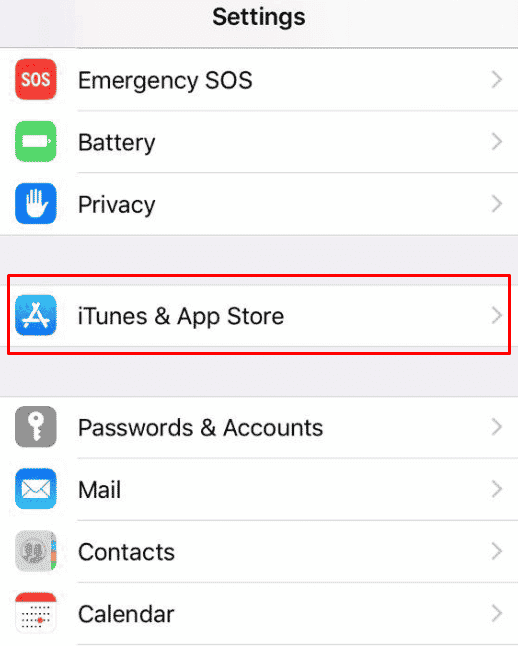 Ahora navegue a iTunes y App Store y tóquelo