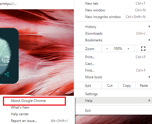 Seleccione Acerca de Google Chrome