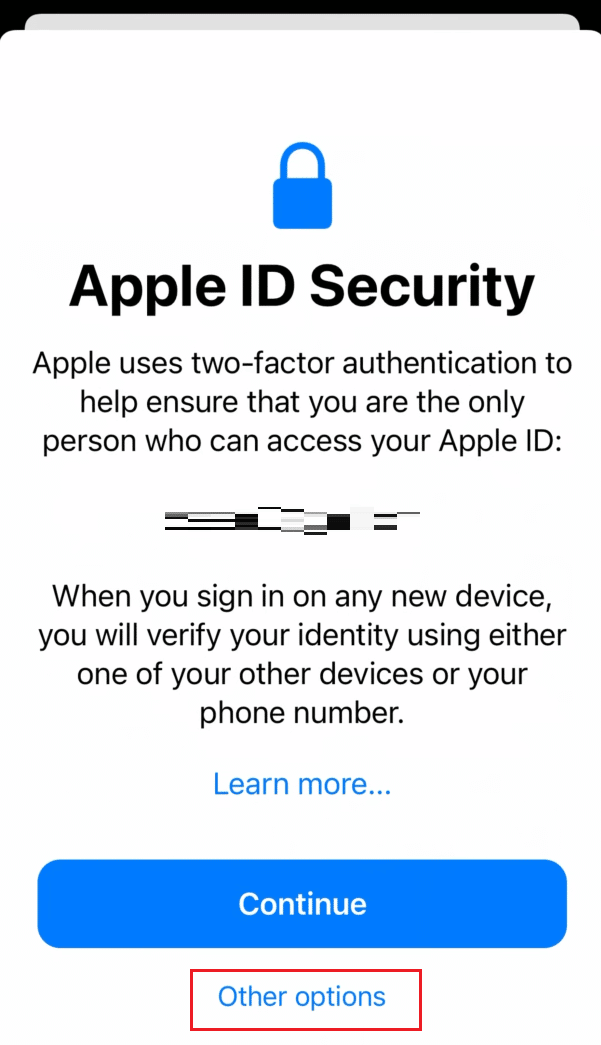 บนหน้าจอความปลอดภัยของ Apple ID ให้แตะที่ตัวเลือกอื่น | วิธีเข้าสู่บัญชี iCloud ของคุณ