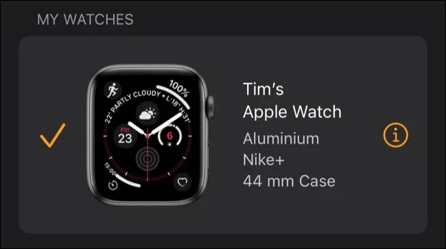 Il mio Apple Watch