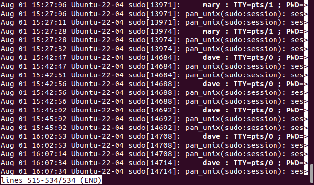 journalctl zeigt Einträge an, die sudo im Less-Datei-Viewer enthalten