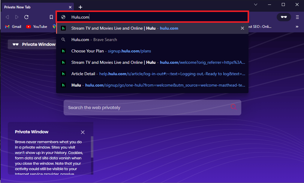 Geben Sie in der Suchleiste des privaten Fensters Hulu com ein