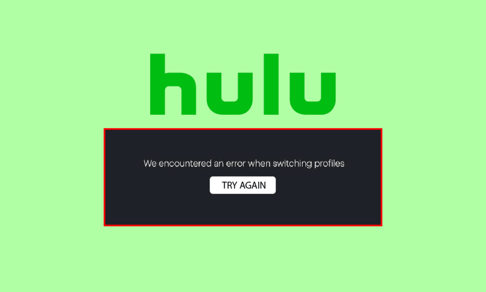 Corrigir o erro de perfil do Hulu Switch no Windows 10