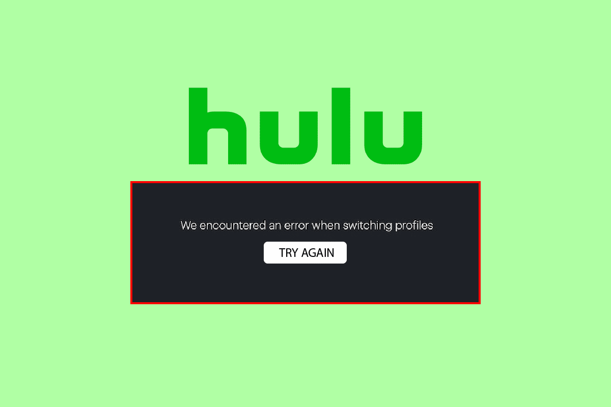 Corrigir o erro de perfil do Hulu Switch no Windows 10