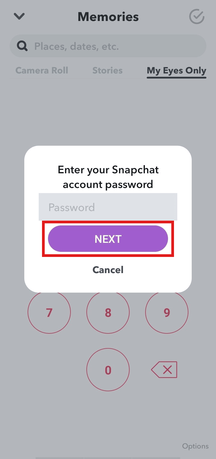 输入您的 Snapchat 帐户密码，然后点击下一步。