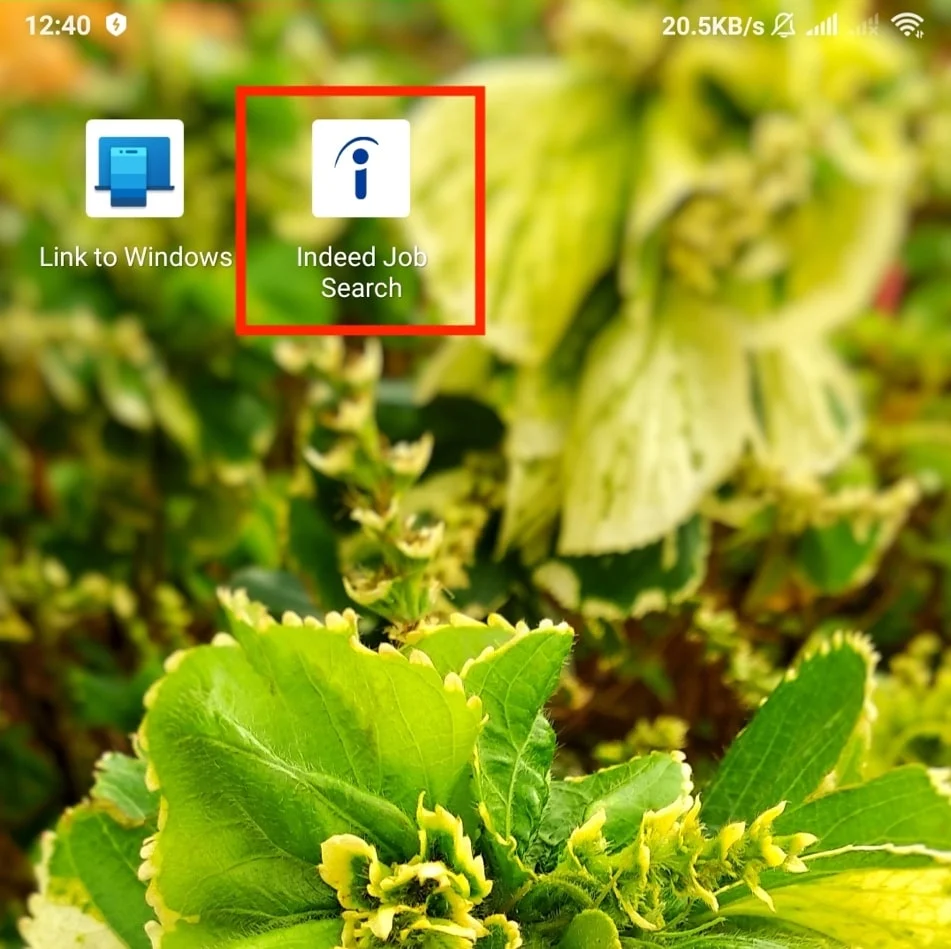 Öffnen Sie die Indeed-App auf Ihrem Smartphone