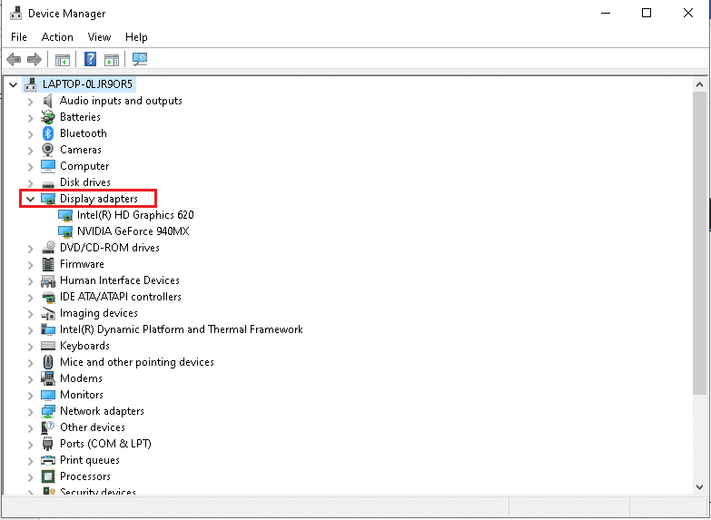 Klik panah di sebelah Display adapters untuk memperluas