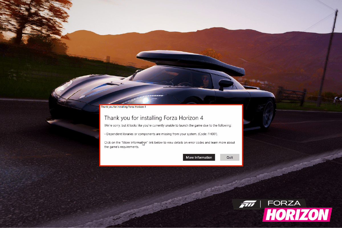 Perbaiki Forza Horizon 4 FH001 di Windows 10