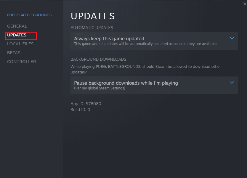 สลับไปที่แท็บ UPDATES และตรวจสอบว่ามีการอัปเดตใด ๆ ที่รอดำเนินการอยู่หรือไม่ แก้ไข Steam Error Code 51 ใน Windows 10