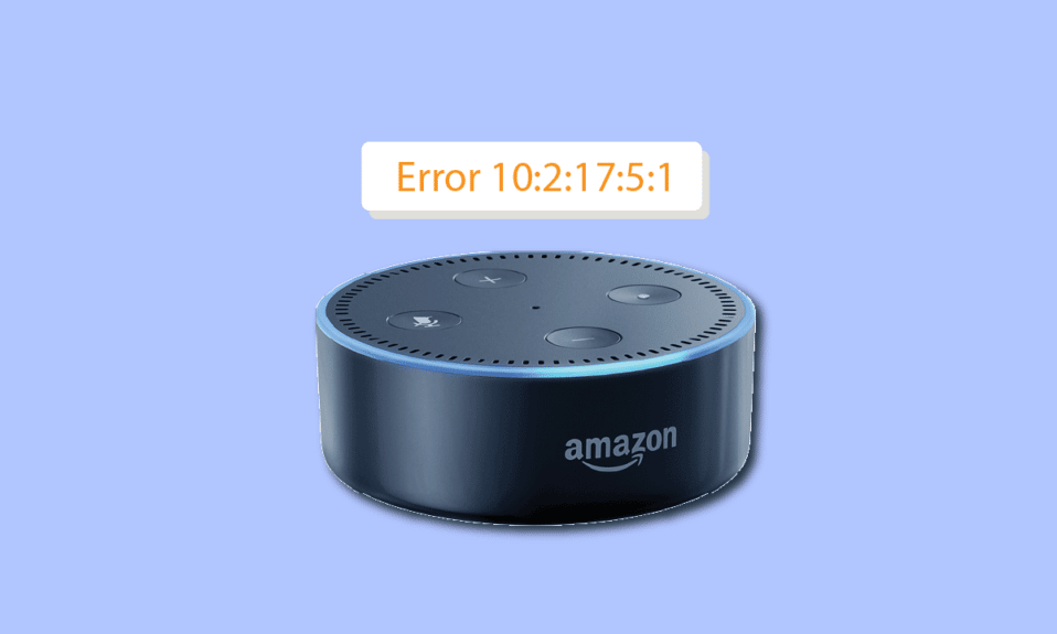 Correggi l'errore Alexa 10 2 17 5 1 in Echo Dot