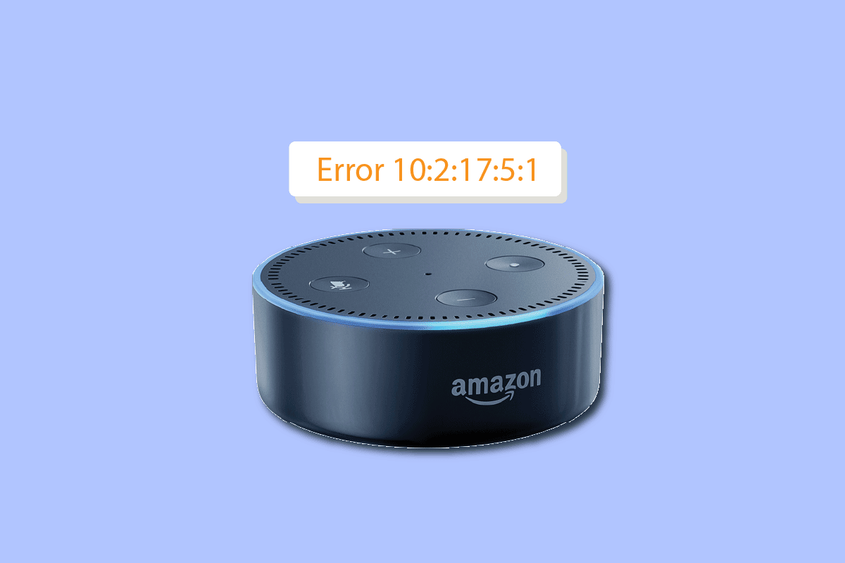 Correggi l'errore Alexa 10 2 17 5 1 in Echo Dot