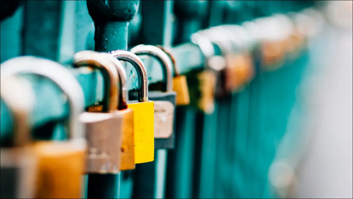 Plusieurs cadenas attachés à une clôture verte.