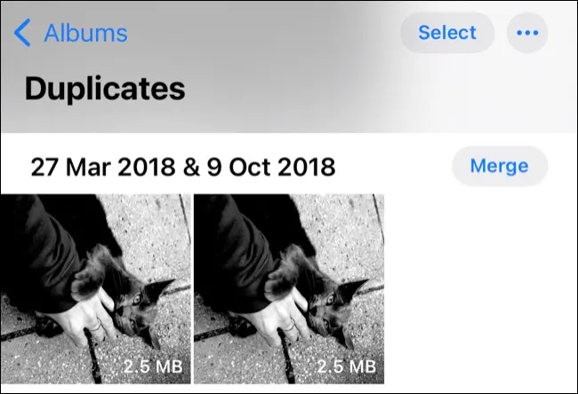 Combinar fotos duplicadas en la aplicación Fotos de iOS 16