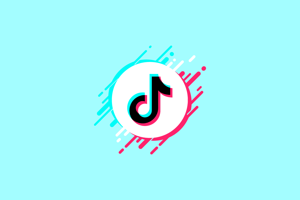 Onde você encontra a biografia no TikTok?