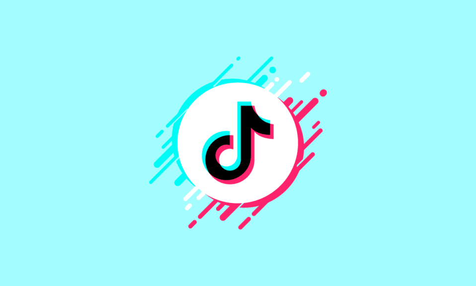 Onde você encontra a biografia no TikTok?