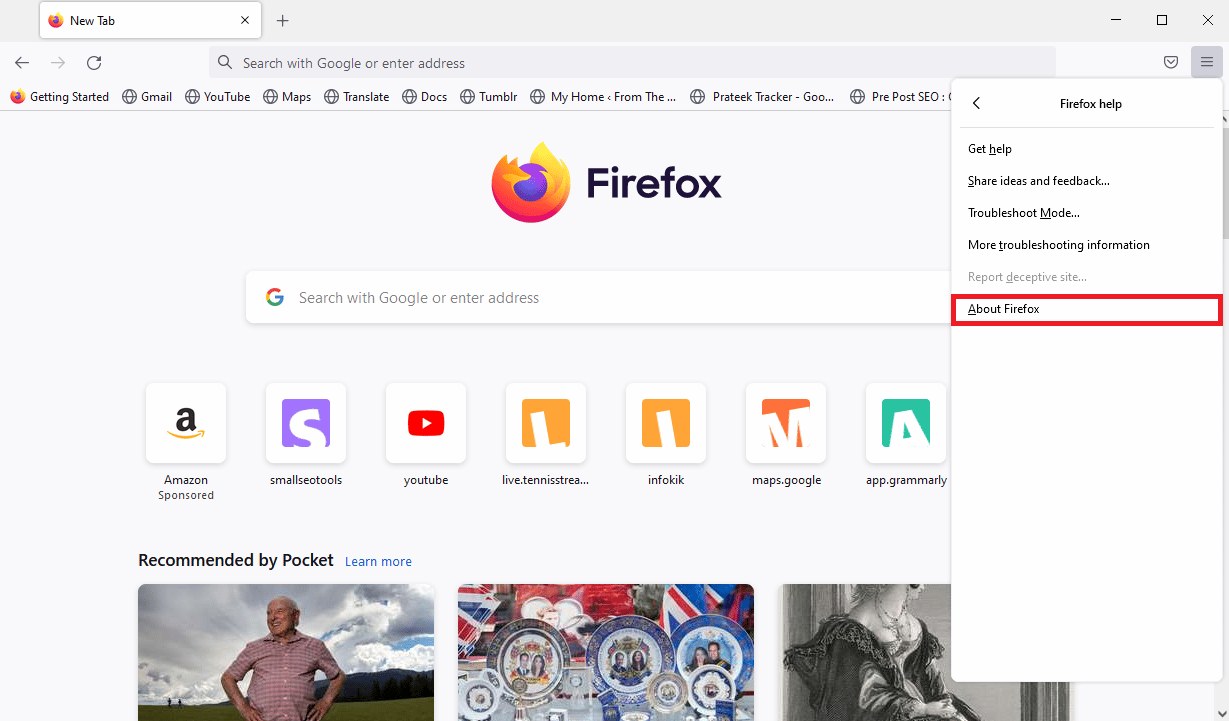 faceți clic pe Despre Firefox. Remediați Plugin Container pentru Firefox nu funcționează
