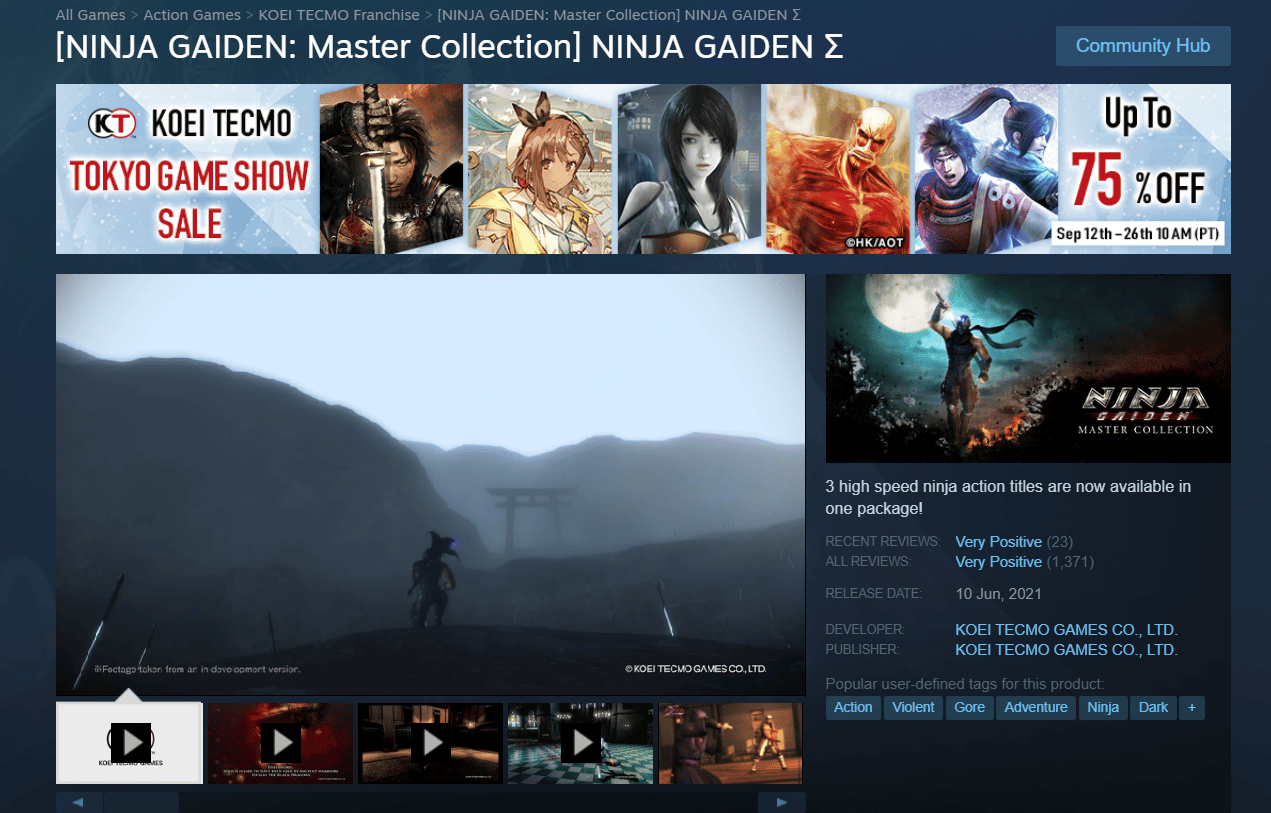 Ninja Gaiden pe Steam