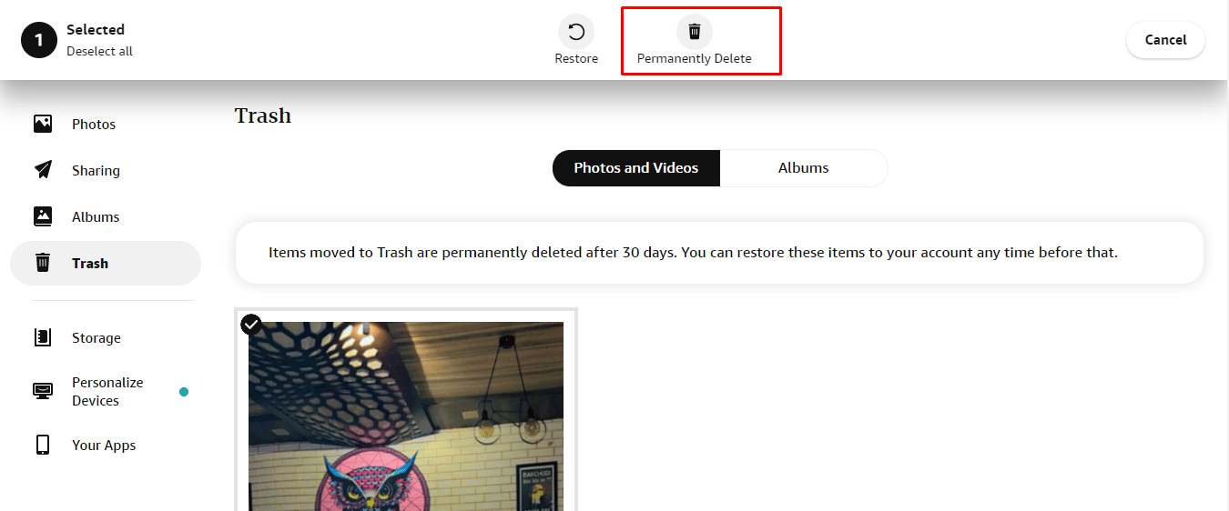 Después de seleccionar la foto, haga clic en la opción Eliminar permanentemente presente en la parte superior de la página.