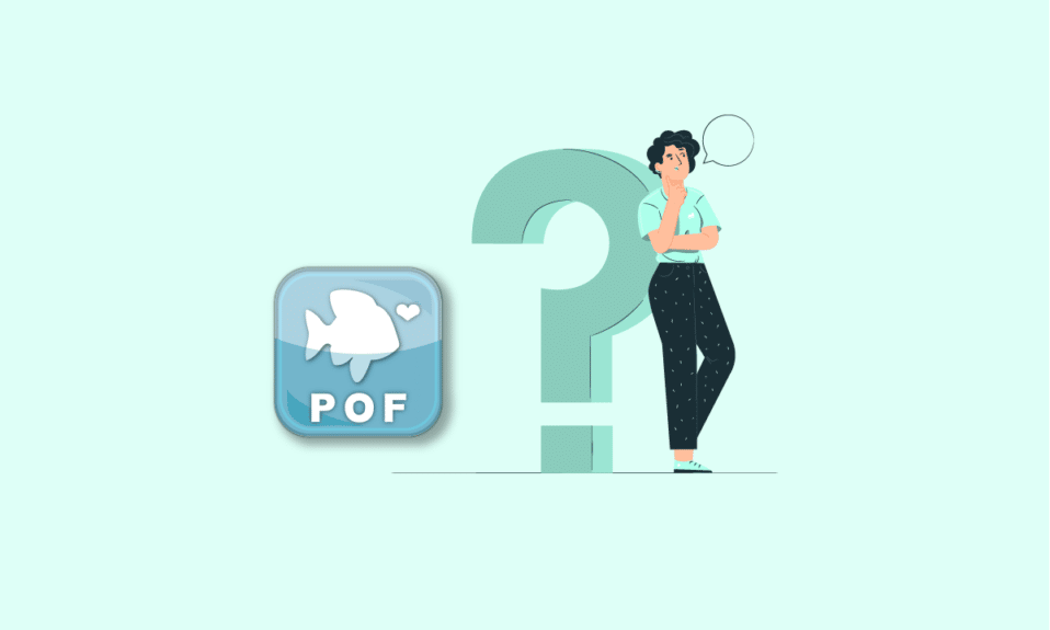 Как использовать Plenty Of Fish Search без регистрации