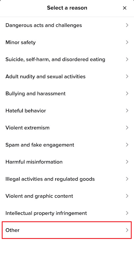 Appuyez sur la raison appropriée parmi les raisons répertoriées | être définitivement banni de TikTok