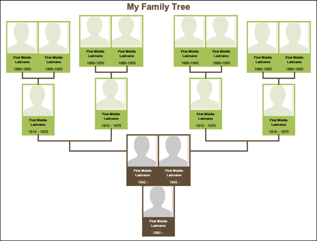 Szablon drzewa genealogicznego Vertex42