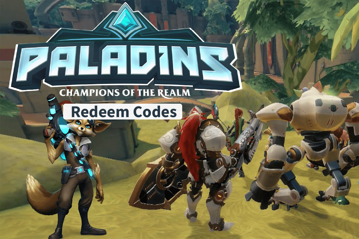 Paladine lösen Codes ein, um kostenlose Skins zu erhalten