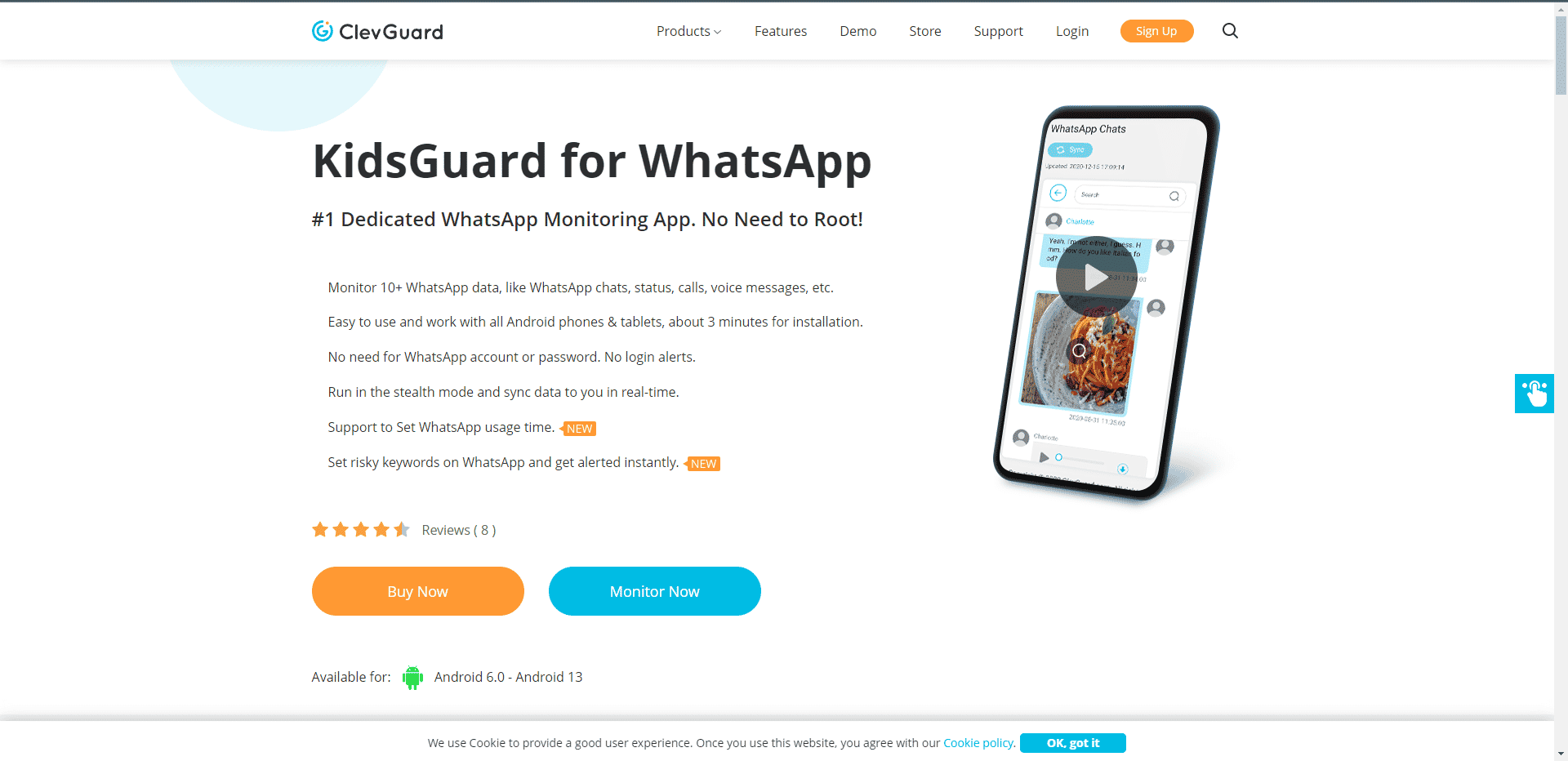 KidsGuard resmi web sitesi