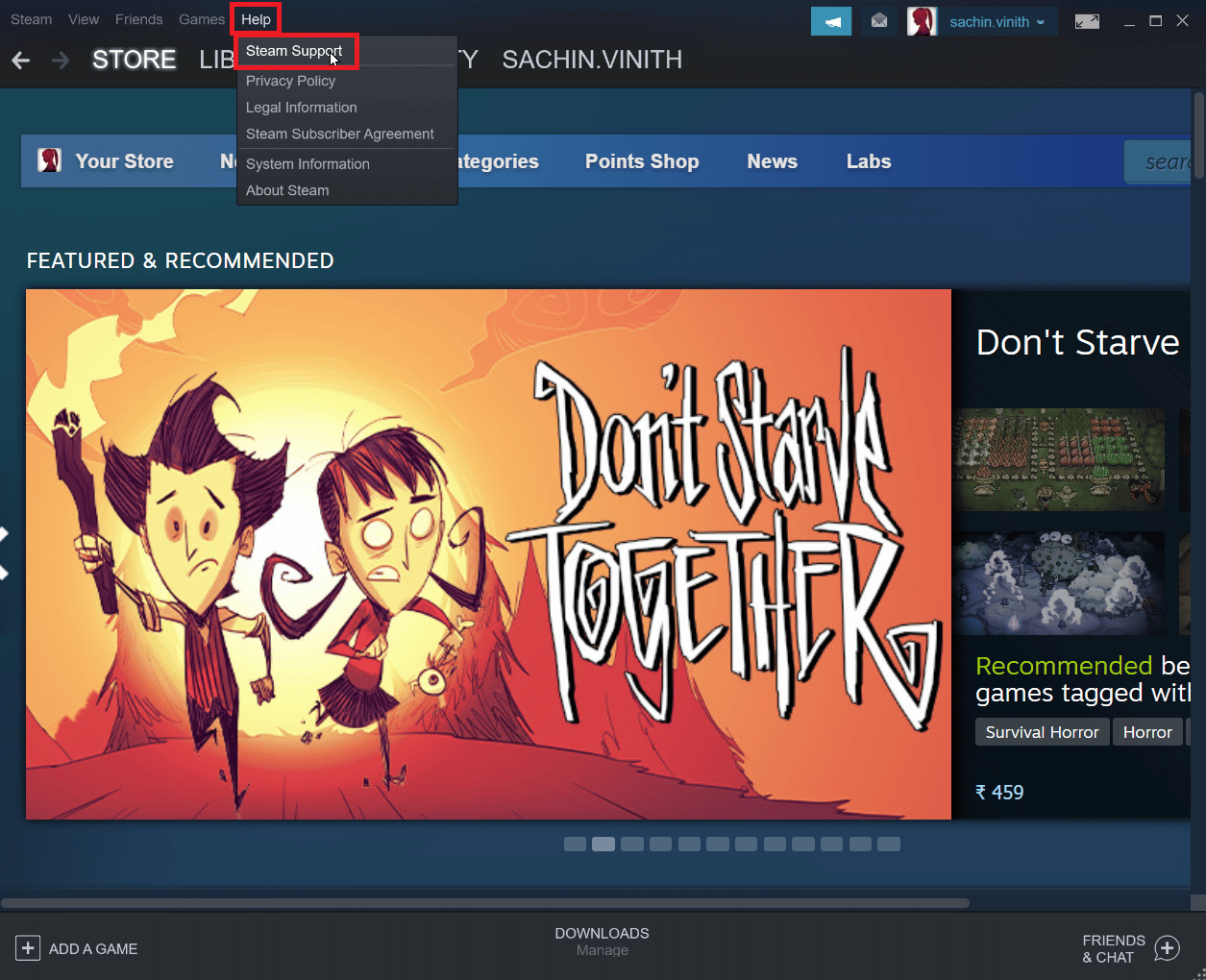 单击帮助并单击 Steam 支持