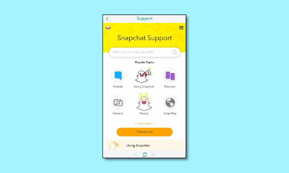 Che cos'è un portale di account Snapchat?