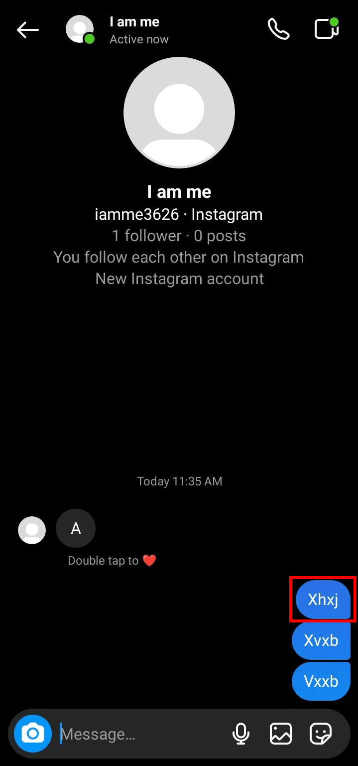 Sélectionnez le message et appuyez longuement jusqu'à ce que les options apparaissent | Comment supprimer des messages sur Instagram des deux côtés