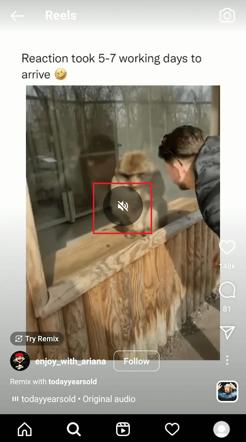 Toque en el centro del carrete deseado. El ícono de silencio en el centro de la pantalla representa que el Reel actual está silenciado | | Cómo pausar carretes de Instagram