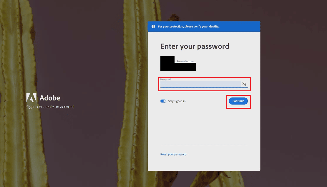 Inserisci la tua password per l'account Adobe e fai clic su Continua