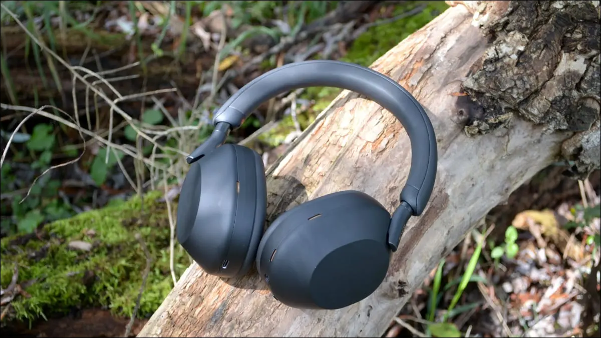 Sony WH-1000XM5 en árbol